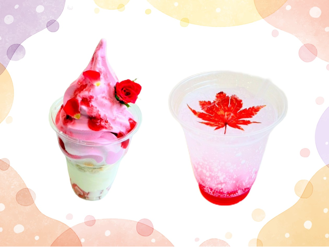 メニューのイメージ